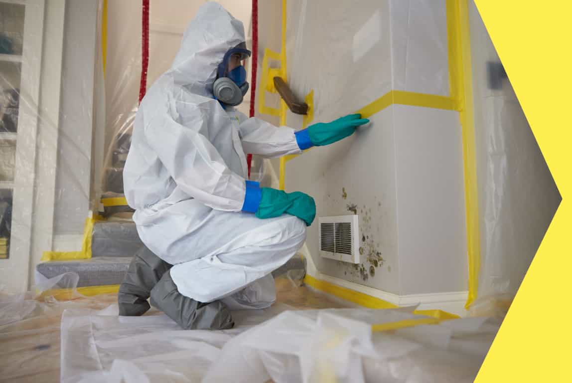 Mold Remediation in Southwest Florida