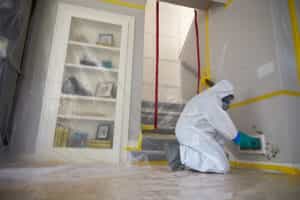 Read more about the article The Danger of DIY Mold Cleanup