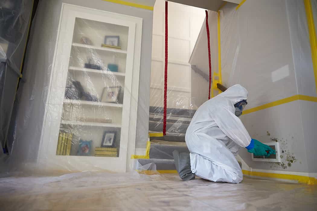 You are currently viewing Top 7 Factors Contributing to Cost of Mold Remediation in Hollywood, Florida