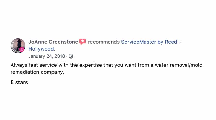 Customer Review of ServiceMaster by Reed